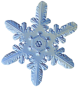flocon-de-neige 34 liste